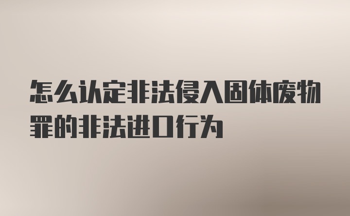 怎么认定非法侵入固体废物罪的非法进口行为