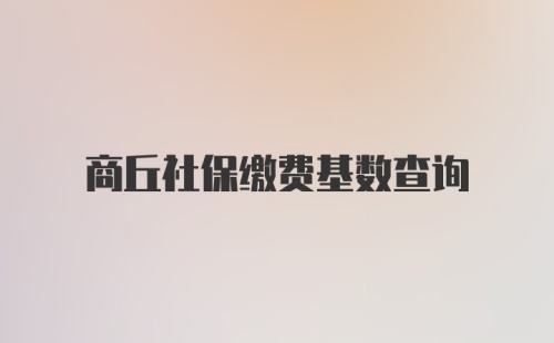 商丘社保缴费基数查询