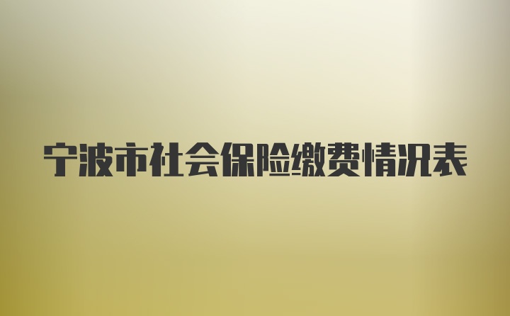 宁波市社会保险缴费情况表