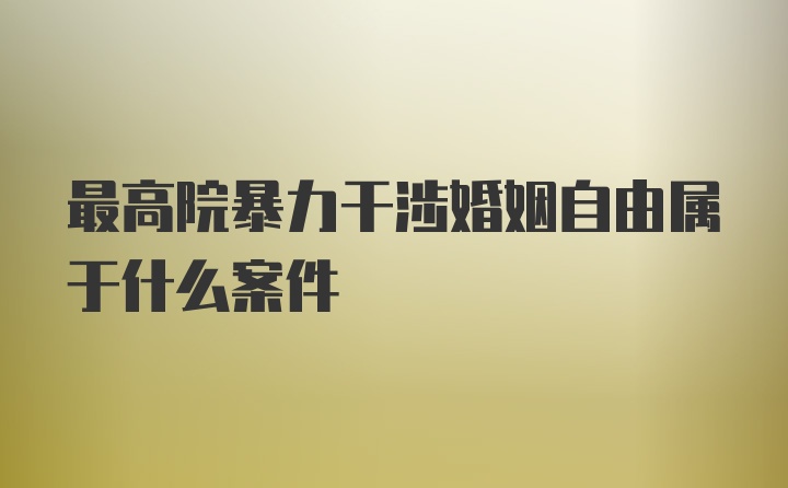 最高院暴力干涉婚姻自由属于什么案件