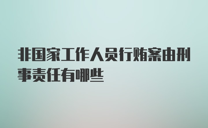 非国家工作人员行贿案由刑事责任有哪些