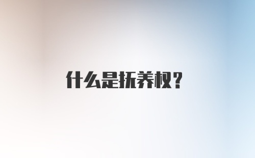 什么是抚养权？