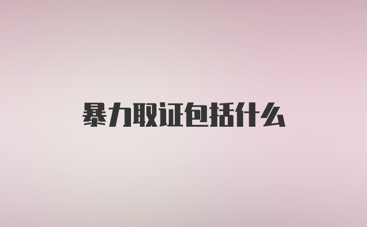 暴力取证包括什么