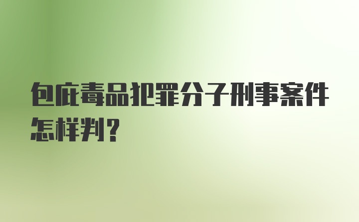 包庇毒品犯罪分子刑事案件怎样判？