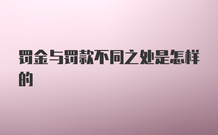 罚金与罚款不同之处是怎样的