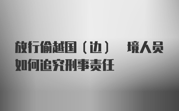 放行偷越国(边) 境人员如何追究刑事责任