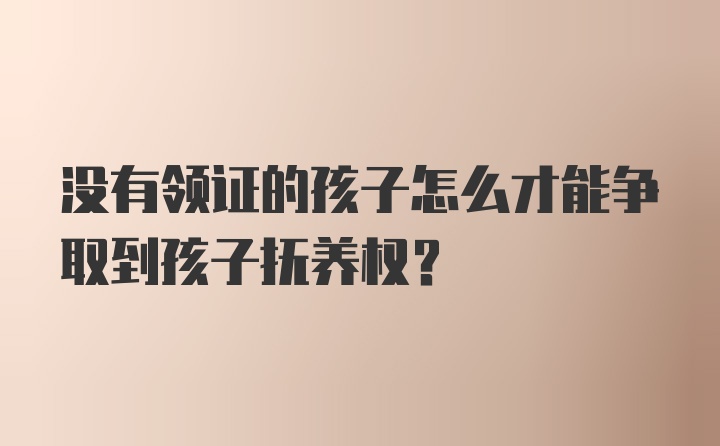 没有领证的孩子怎么才能争取到孩子抚养权？