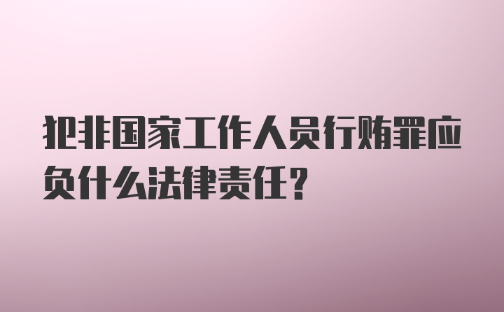 犯非国家工作人员行贿罪应负什么法律责任?