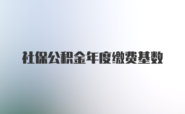 社保公积金年度缴费基数