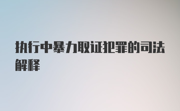 执行中暴力取证犯罪的司法解释