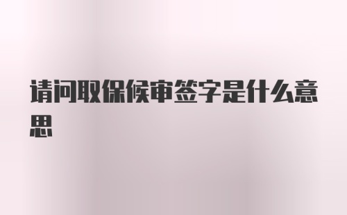 请问取保候审签字是什么意思