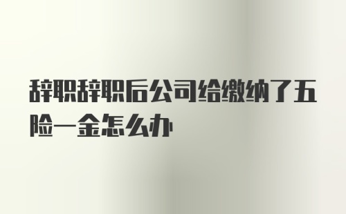 辞职辞职后公司给缴纳了五险一金怎么办