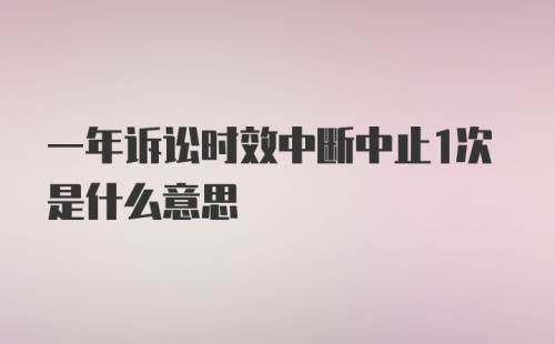 一年诉讼时效中断中止1次是什么意思