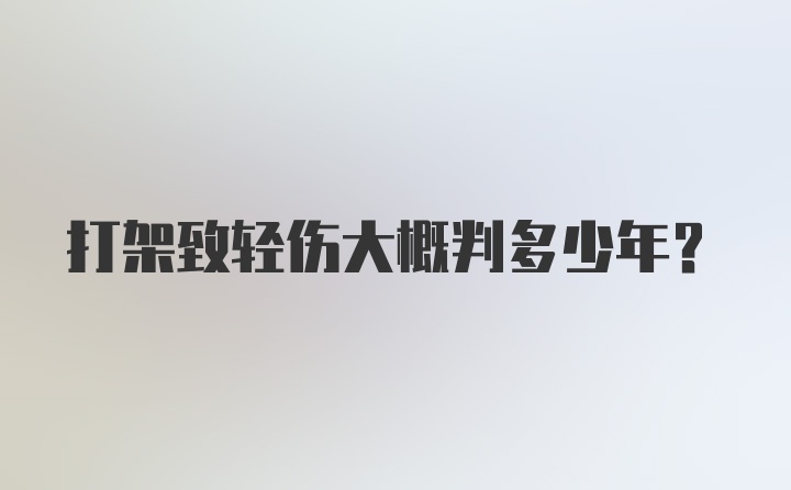 打架致轻伤大概判多少年？