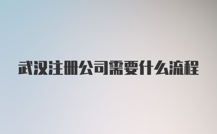 武汉注册公司需要什么流程