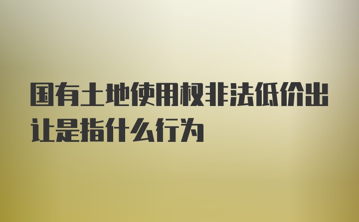 国有土地使用权非法低价出让是指什么行为