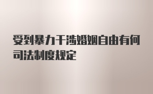 受到暴力干涉婚姻自由有何司法制度规定