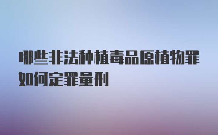 哪些非法种植毒品原植物罪如何定罪量刑