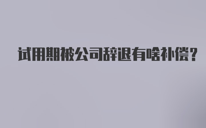 试用期被公司辞退有啥补偿?