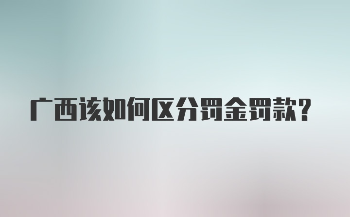 广西该如何区分罚金罚款？