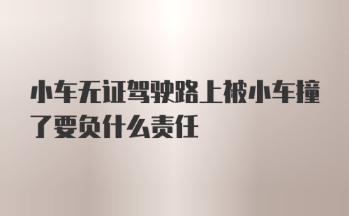 小车无证驾驶路上被小车撞了要负什么责任