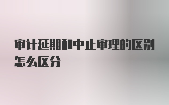 审计延期和中止审理的区别怎么区分