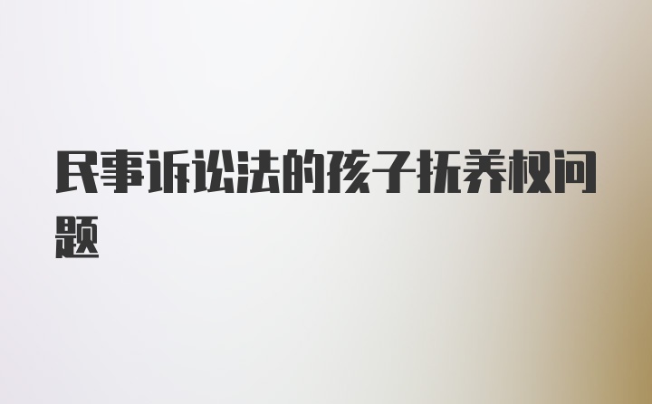 民事诉讼法的孩子抚养权问题