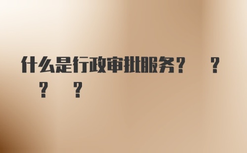 什么是行政审批服务? ? ? ?