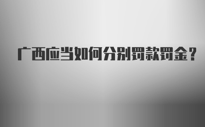 广西应当如何分别罚款罚金？