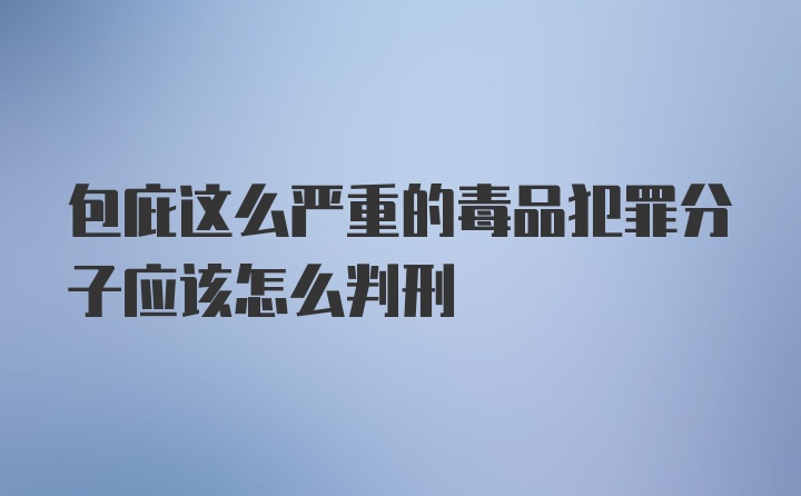 包庇这么严重的毒品犯罪分子应该怎么判刑