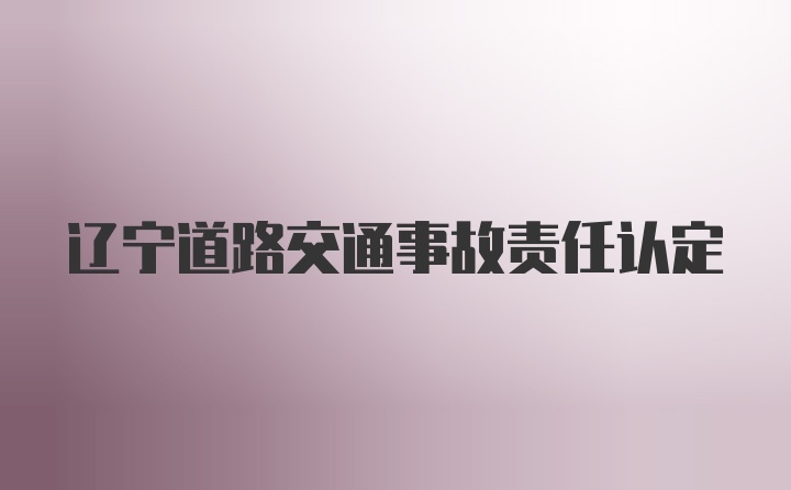 辽宁道路交通事故责任认定