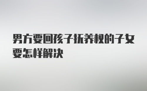 男方要回孩子抚养权的子女要怎样解决