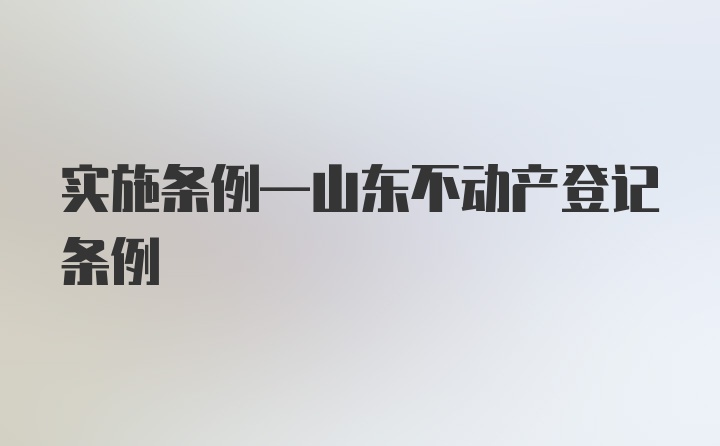 实施条例—山东不动产登记条例