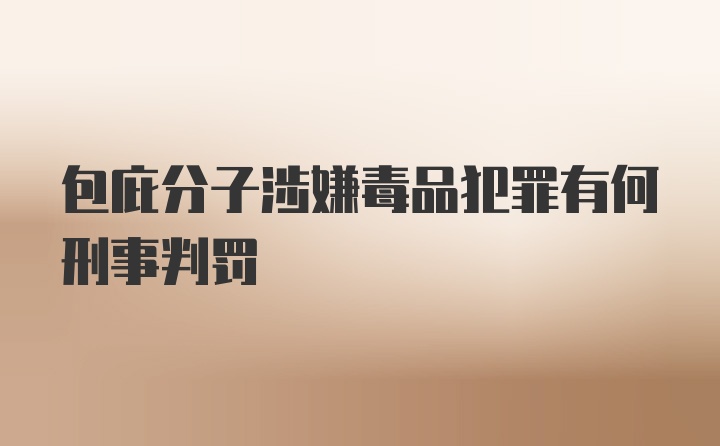 包庇分子涉嫌毒品犯罪有何刑事判罚