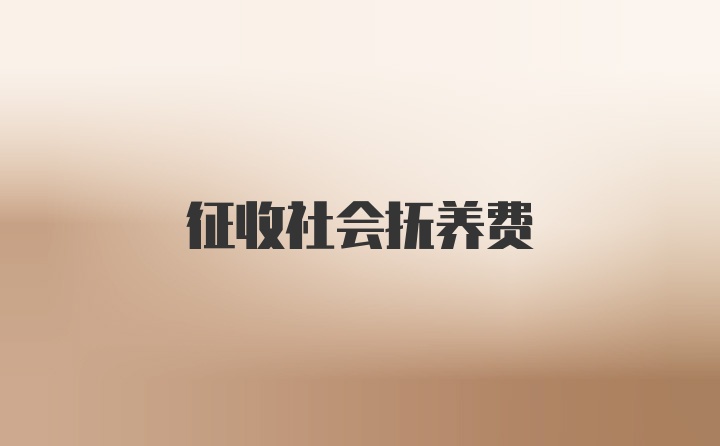 征收社会抚养费