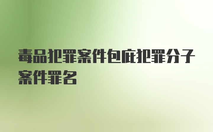 毒品犯罪案件包庇犯罪分子案件罪名