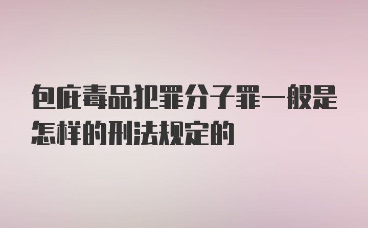 包庇毒品犯罪分子罪一般是怎样的刑法规定的