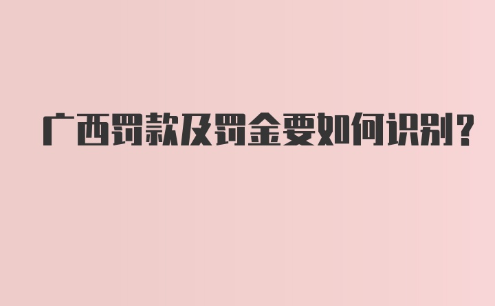 广西罚款及罚金要如何识别？