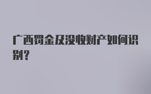 广西罚金及没收财产如何识别?