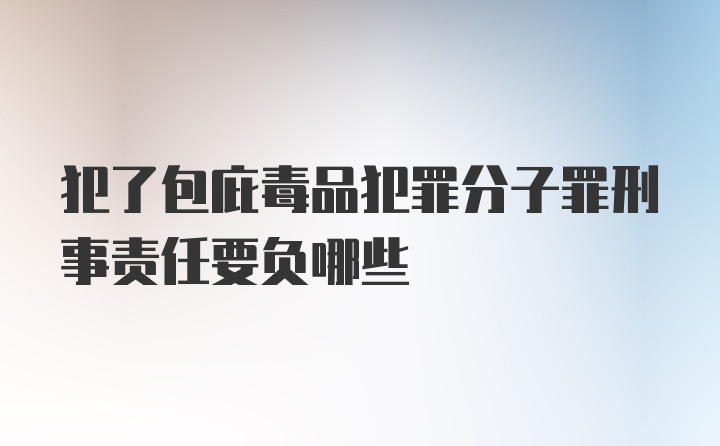 犯了包庇毒品犯罪分子罪刑事责任要负哪些