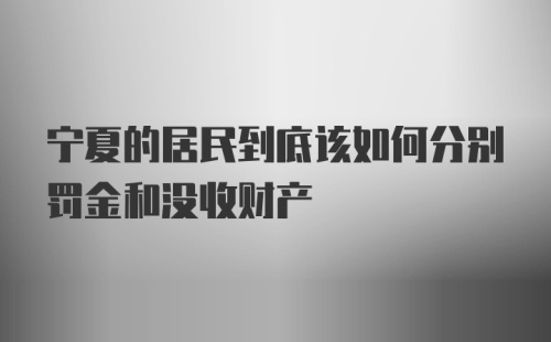 宁夏的居民到底该如何分别罚金和没收财产