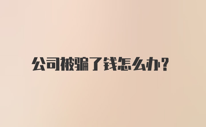 公司被骗了钱怎么办?