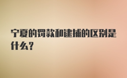 宁夏的罚款和逮捕的区别是什么？