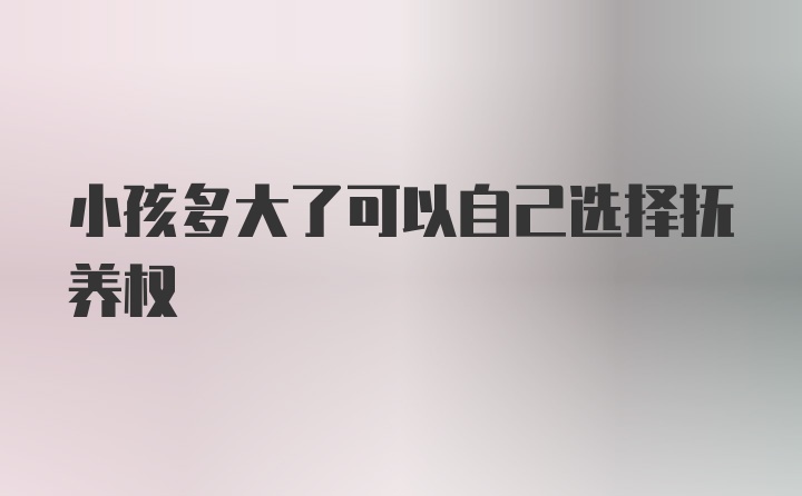 小孩多大了可以自己选择抚养权