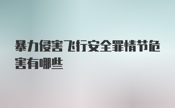 暴力侵害飞行安全罪情节危害有哪些