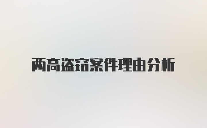 两高盗窃案件理由分析