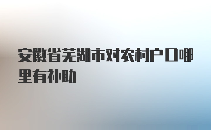 安徽省芜湖市对农村户口哪里有补助