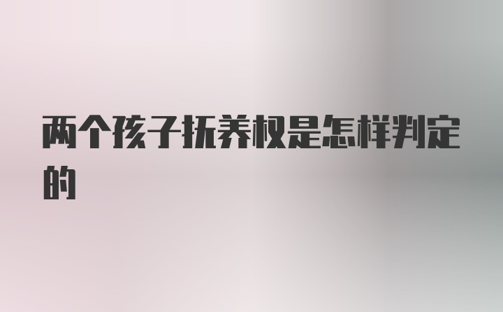 两个孩子抚养权是怎样判定的