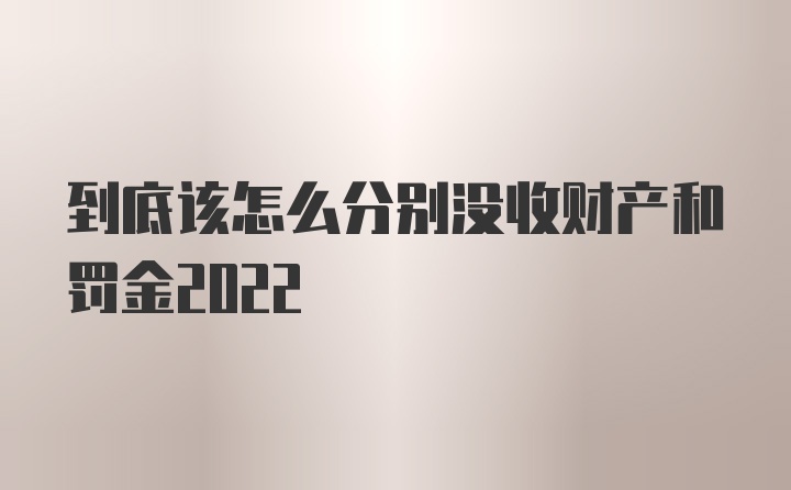 到底该怎么分别没收财产和罚金2022