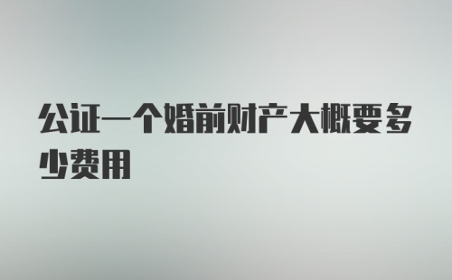 公证一个婚前财产大概要多少费用